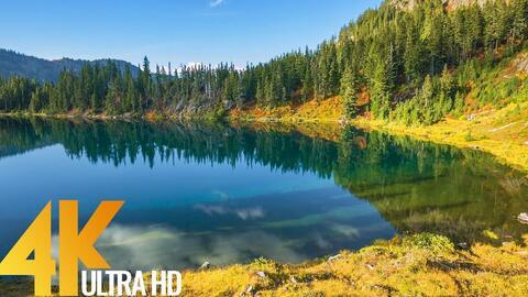 大自然风景视频大全,大自然风景视频大全精选集锦