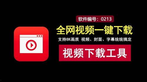 8k视频下载,极致画质体验尽在掌握