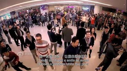 台北101快闪视频,瞬间点亮城市夜空，感受现代都市魅力