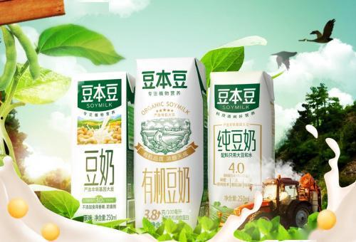 豆本豆广告视频,解锁美味新体验，尽在这一口豆香