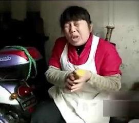 东北视频bt7676,探寻bt7676背后的独特魅力