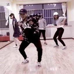 熊猫热舞视频全集,全集视频精彩回顾