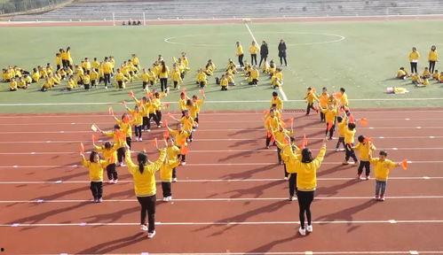 小松鼠进行曲视频,森林精灵的欢快旋律之旅