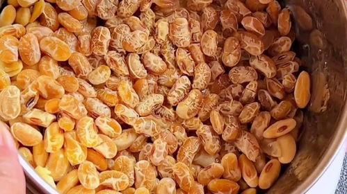 怎样做纳豆视频,轻松学会家常纳豆秘籍