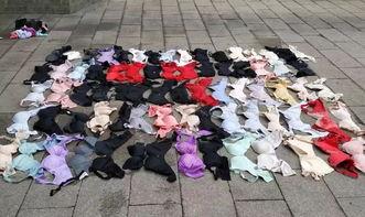 内衣贼视频,一场惊心动魄的盗窃大案