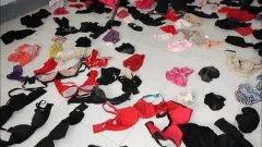 内衣贼视频,一场惊心动魄的盗窃大案