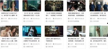 xx视频网站,打造多元化娱乐平台,引领网络视听新潮流